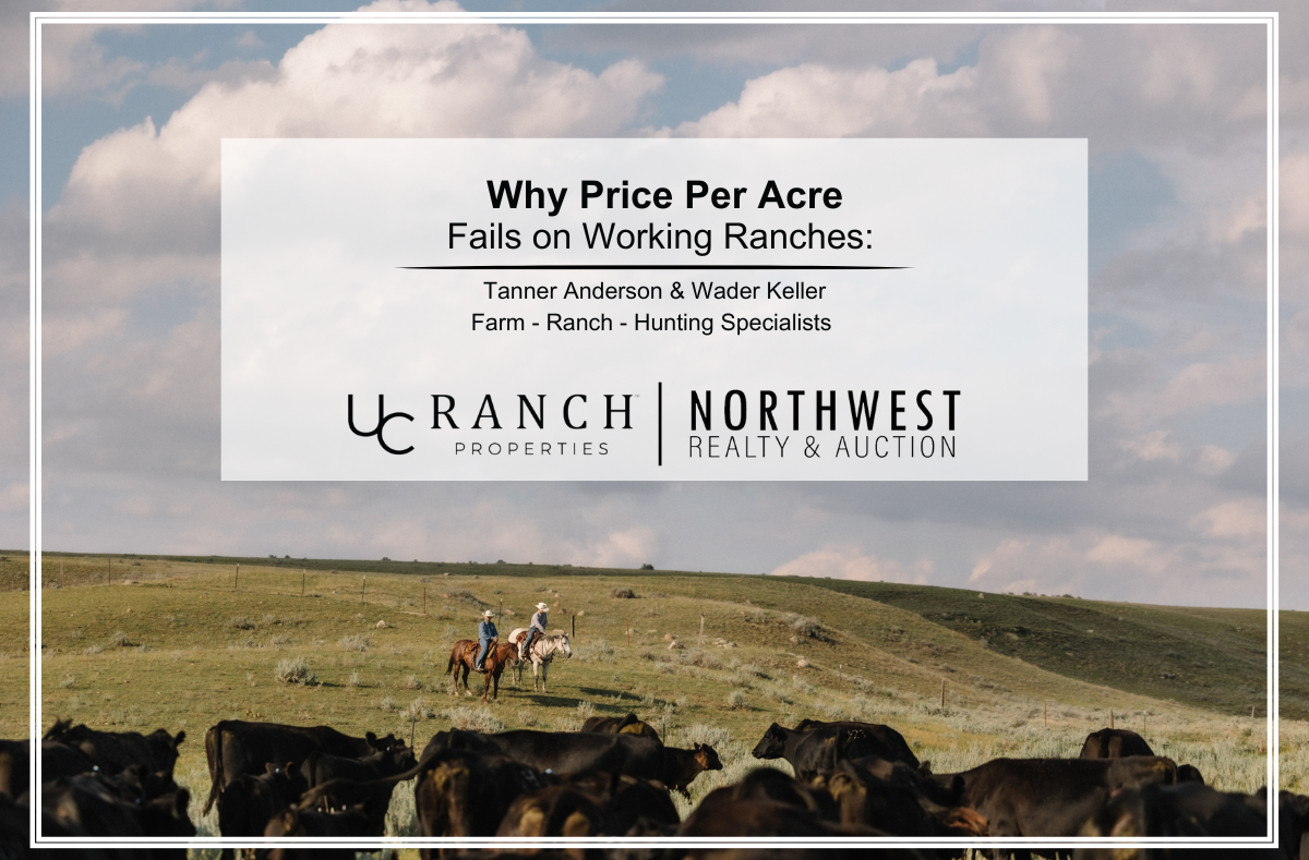 Why Price Per Acre Fails on Working Ranches